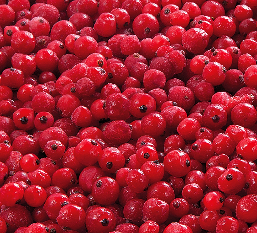 Johannisbeeren, gefroren 2x2.5kg null