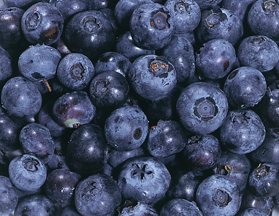 Heidelbeeren, gefroren 2x2.5kg null